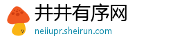 井井有序网